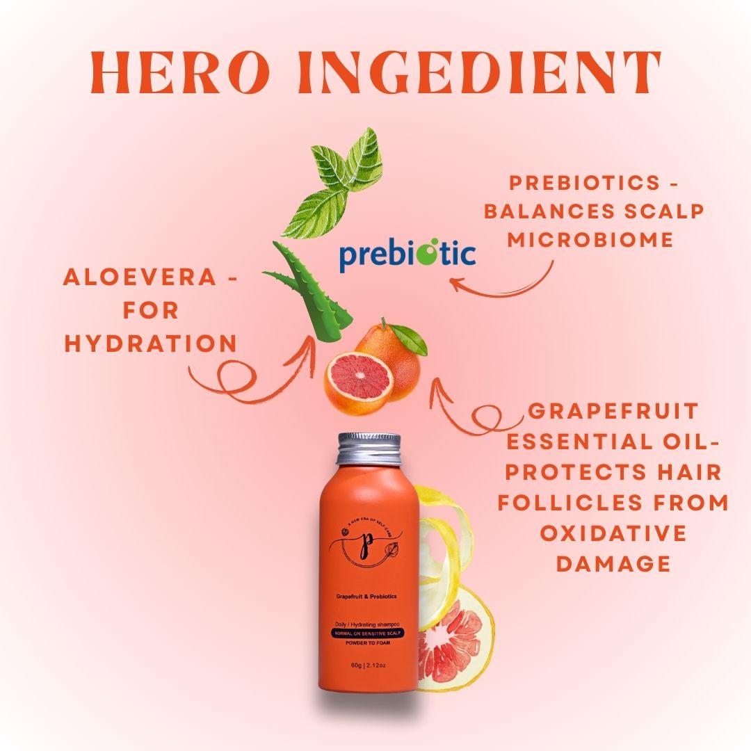 Daily/Hydrating Shampoo for ๐๐จ๐ซ๐ฆ๐๐ฅ ๐ญ๐จ ๐๐๐ง๐ฌ๐ข๐ญ๐ข๐ฏ๐ ๐๐๐๐ฅ๐ฉ.