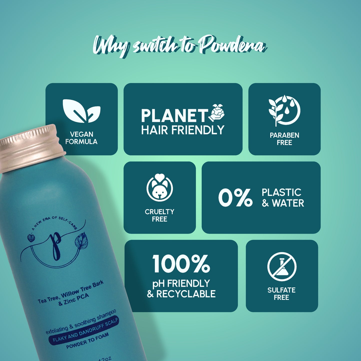 Anti-Dandruff Powder Shampoo