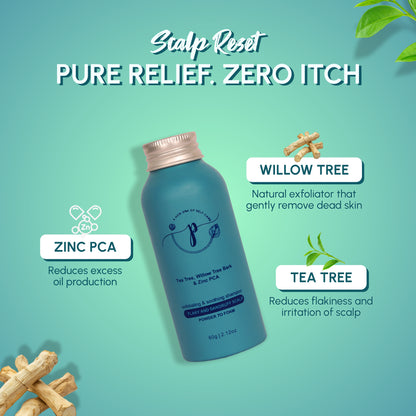 Anti-Dandruff Powder Shampoo