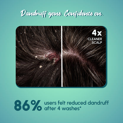 Anti-Dandruff Powder Shampoo